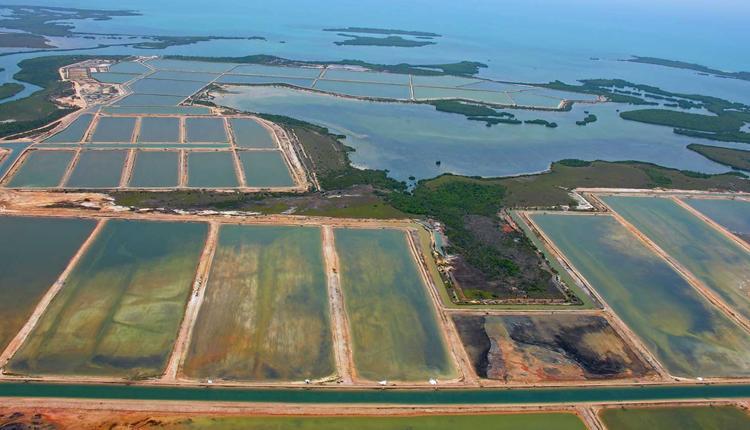 Environmental Problems of Aquaculture