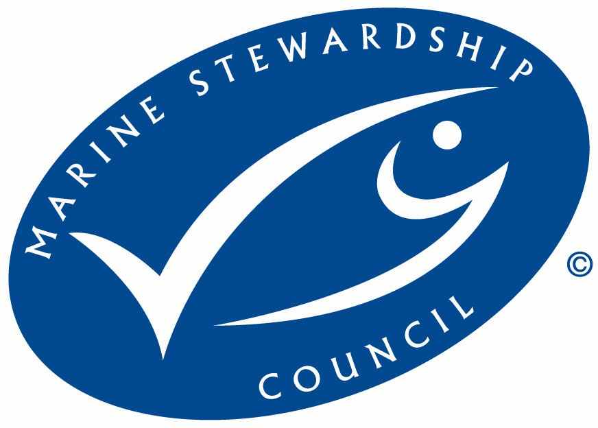 Seafood Certification and Fleet Revision