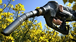 Biofuels and Biochar