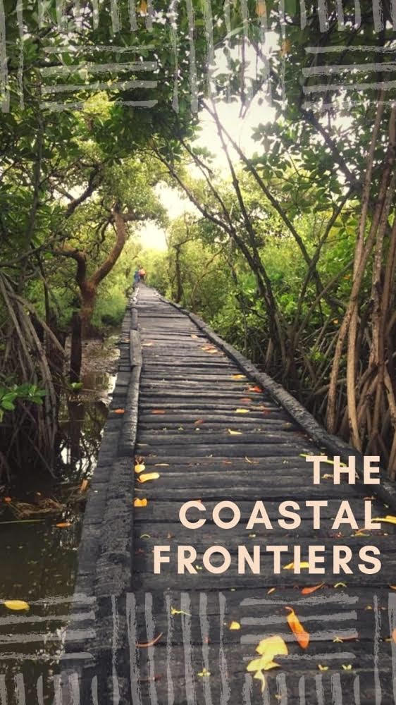 Walk the Talk: A journey to the mangrove forests of Pichavaram