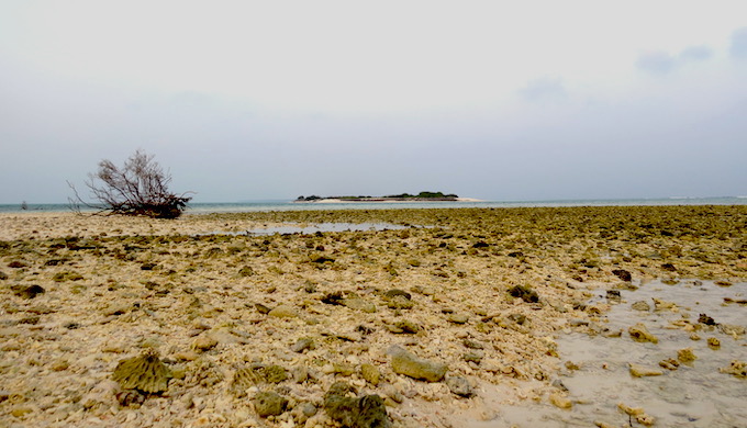 The dying corals of Lakshadweep