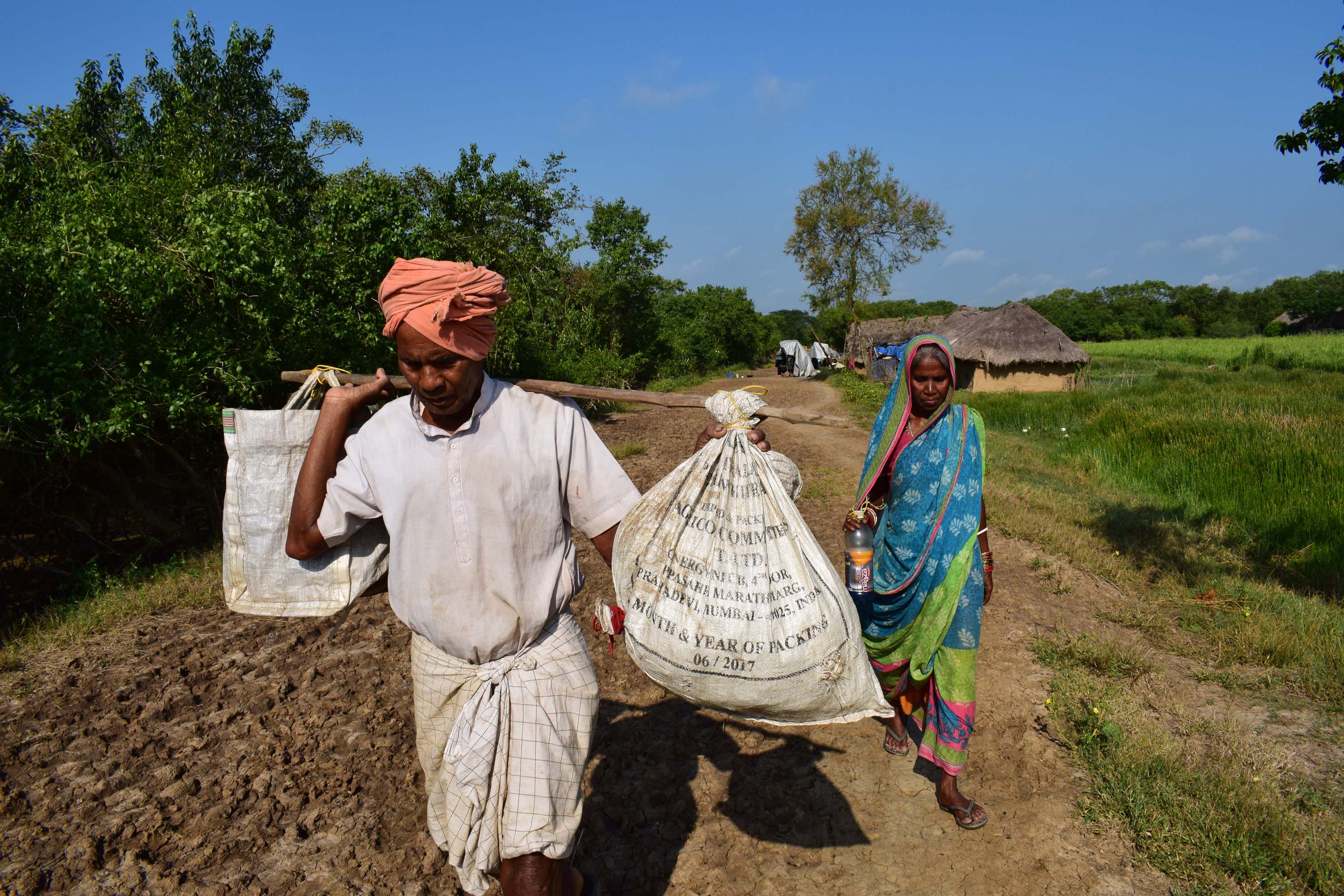 Despite the advancing sea, coastal-erosion refugees in Odisha keep returning to their former homes
