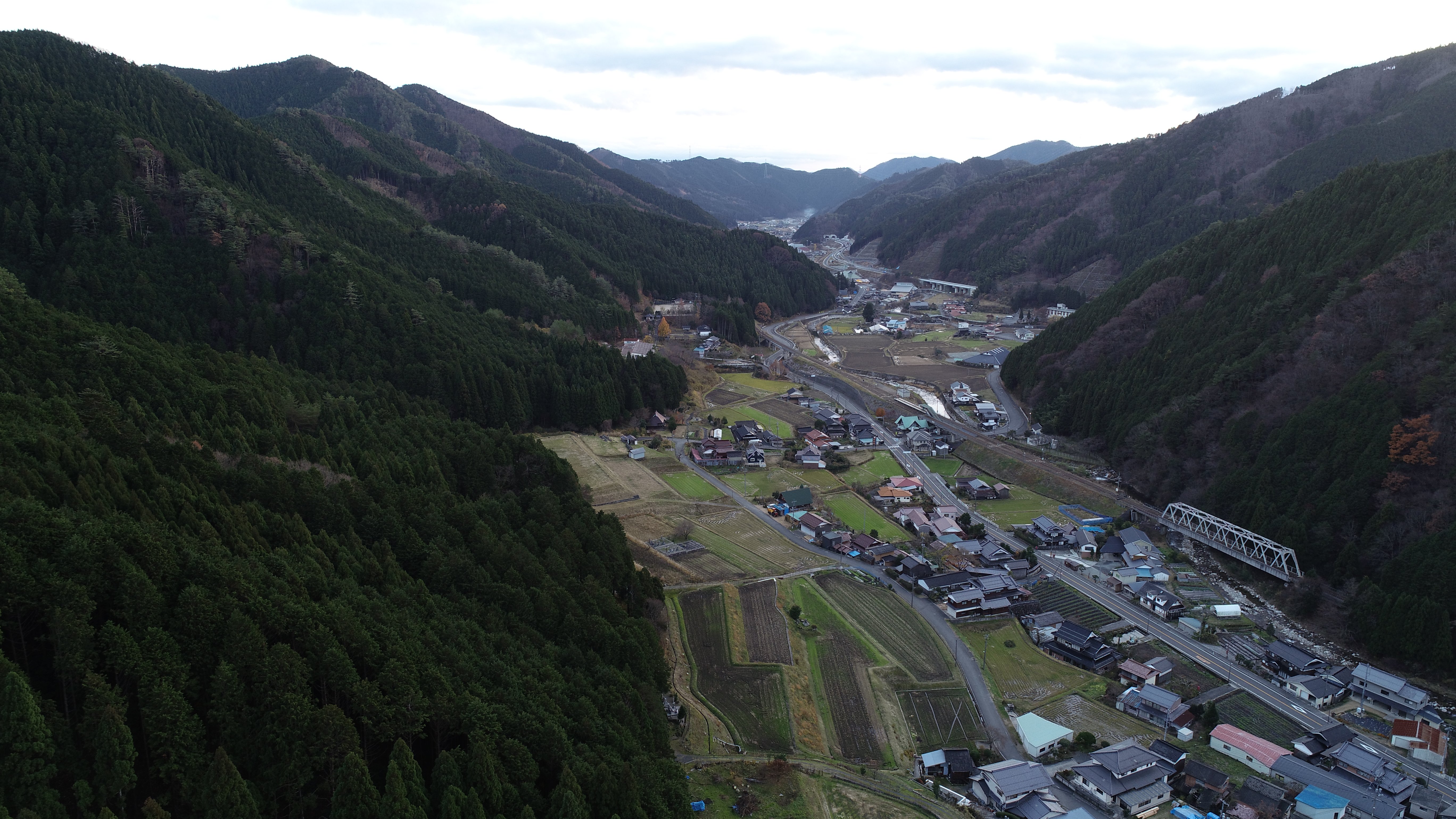 Learning From the Past: Japan's tree-planting efforts provide lessons for other countries