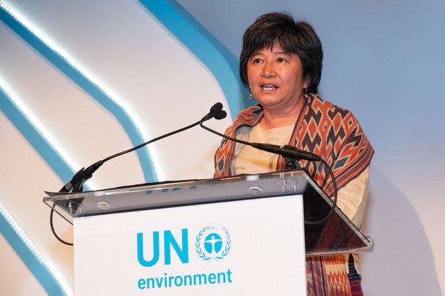 UN honours Filipina indigenous activist with 'Champions of the Earth' award