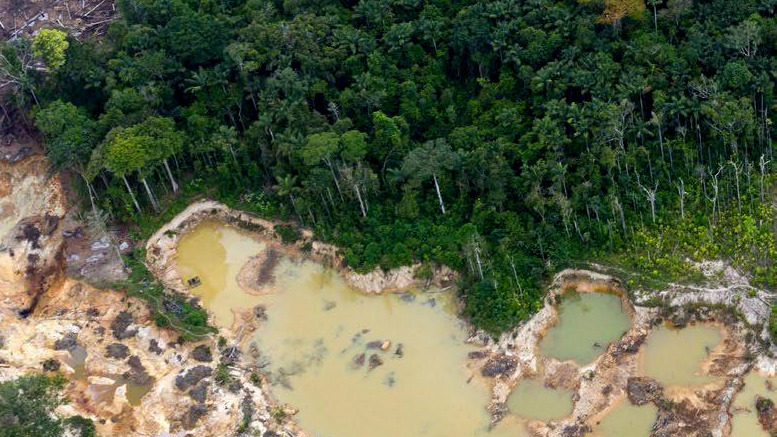 Illegal mining is speeding up deforestation in the Venezuelan Amazon 