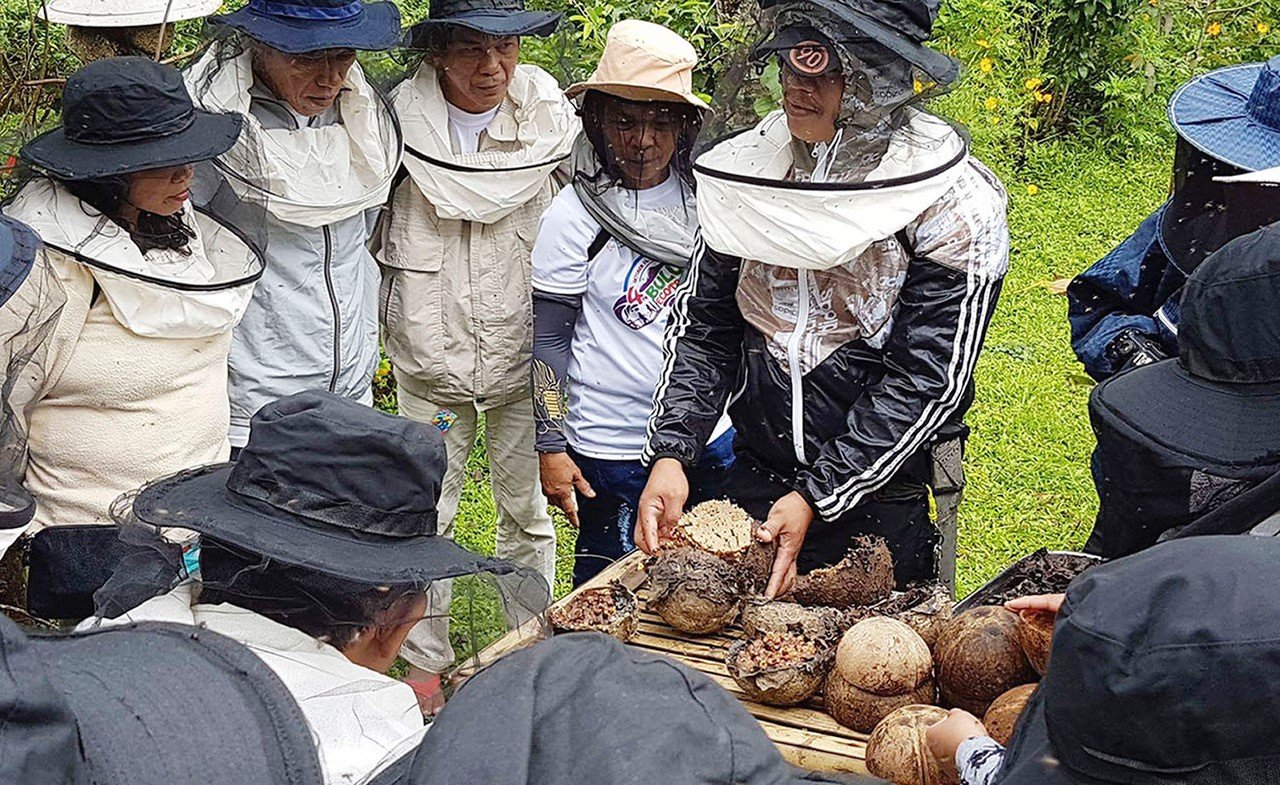 Beekeeping in Philippine coconut production: providing livelihoods and promoting conservation
