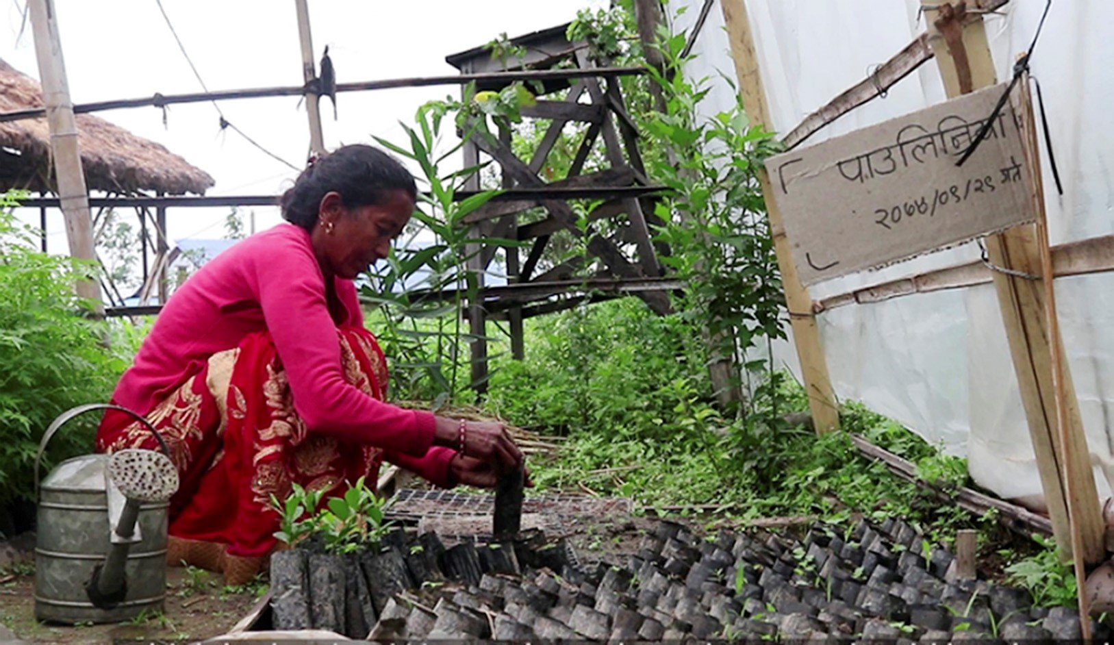 Nepali women’s bid to use international carbon money to rejuvenate land and economy