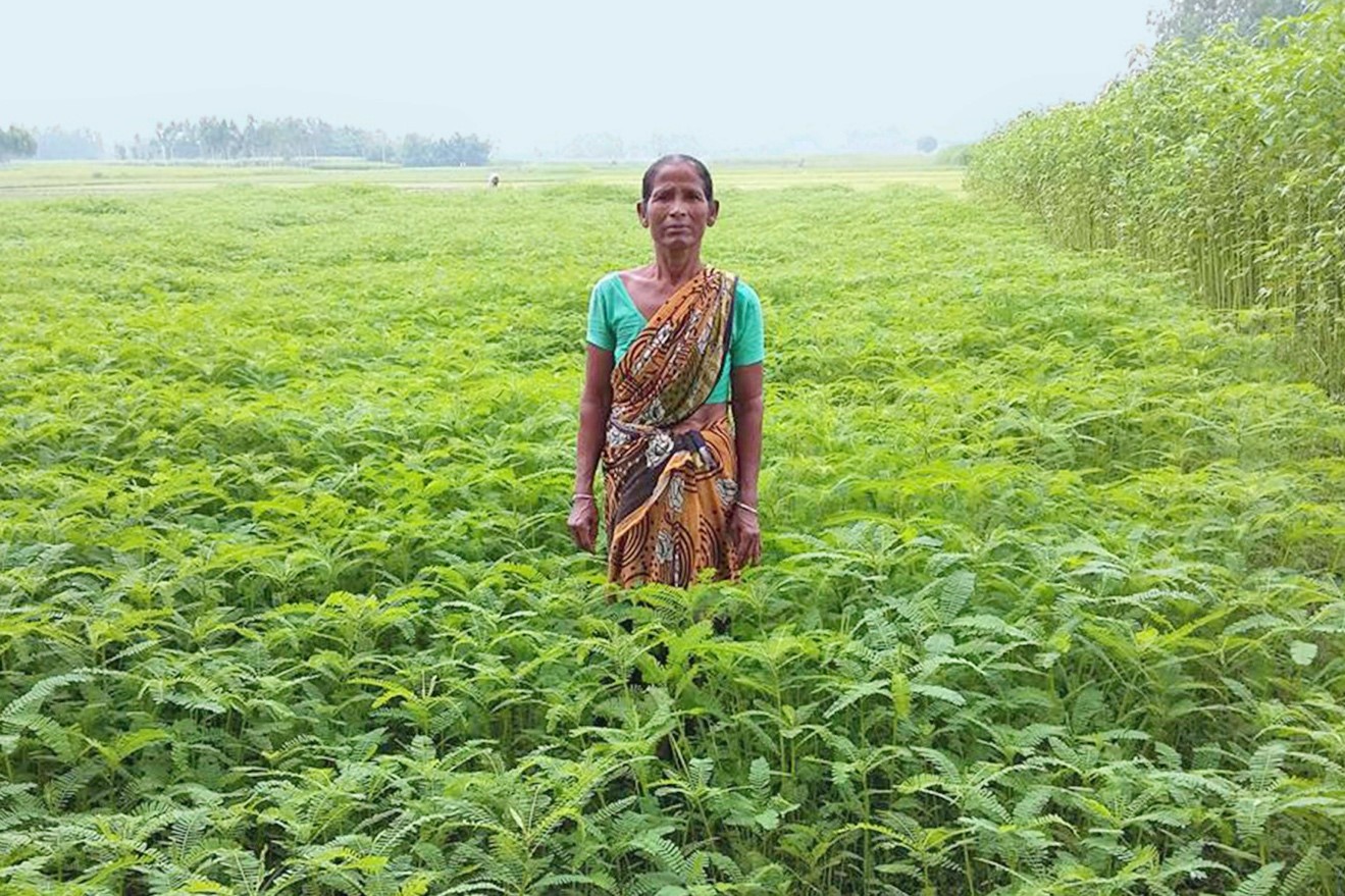 Deploying ducks: Climate-friendly rice farming empowers women