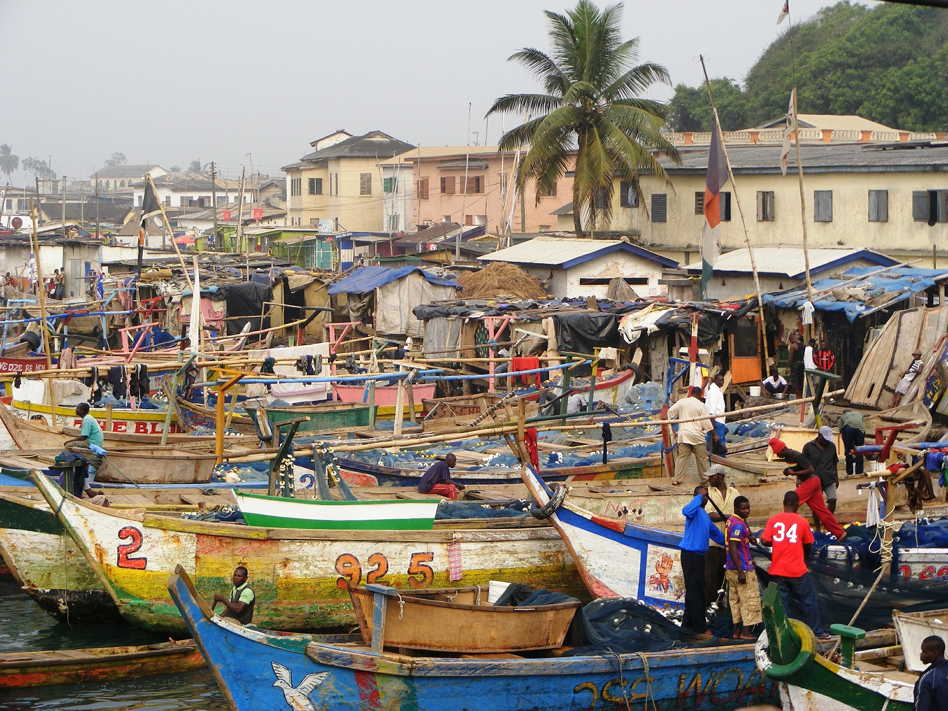 GHANA: Deal with illegal transhipment of fish on sea - Fishermen