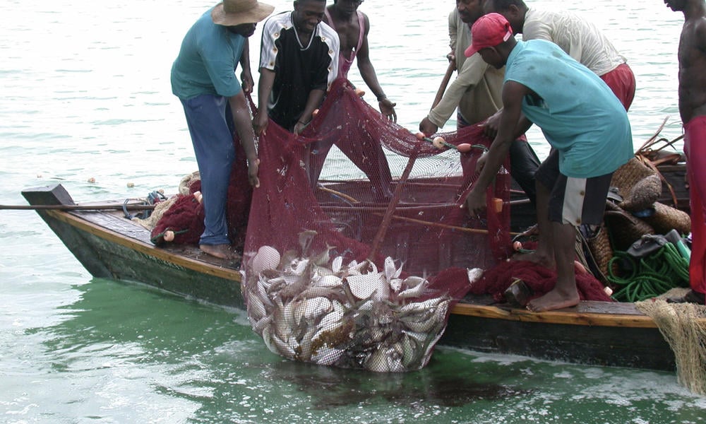 GHANA: Deal With Illegal Transhipment Of Fish On Sea-Fishermen
