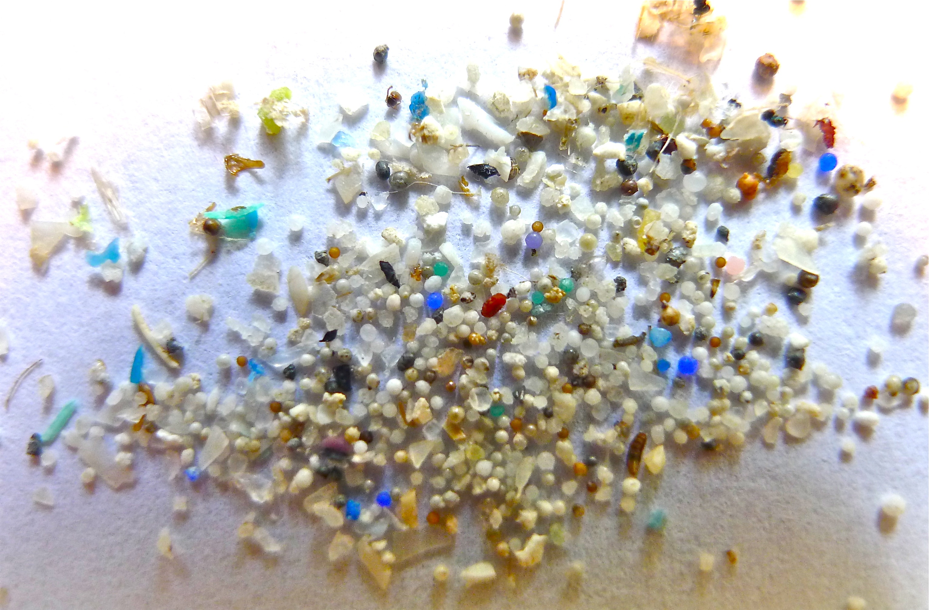 Microplastic: The Invisible Threat #WED2018