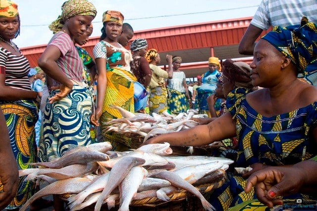 NIGERIA: Importing fish amidst abundant ocean resources, the paradox of a nation