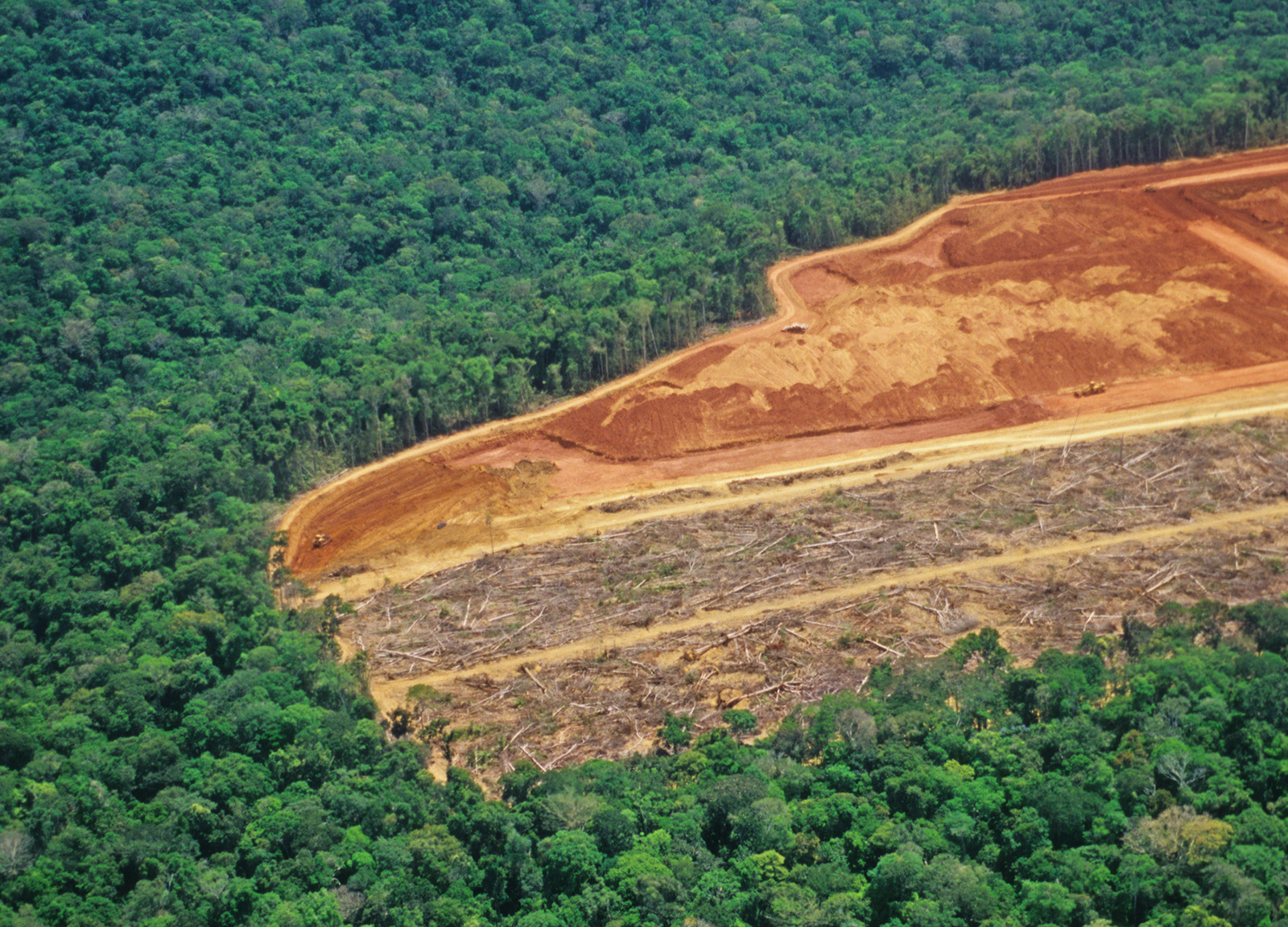 NGOs suggest the path to zero deforestation in the Amazon
