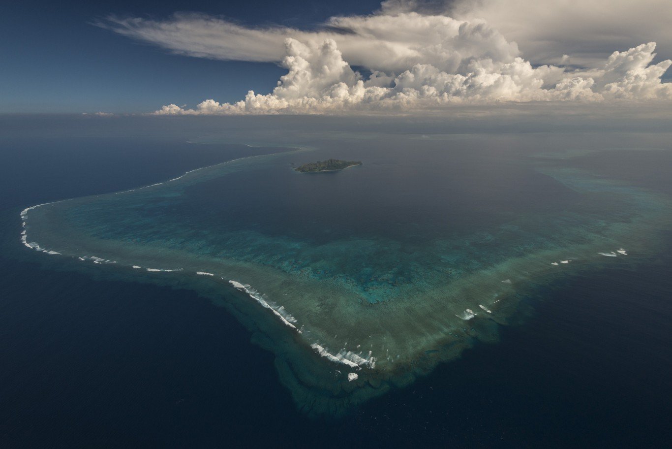 The $800 million potential of Fiji's reef