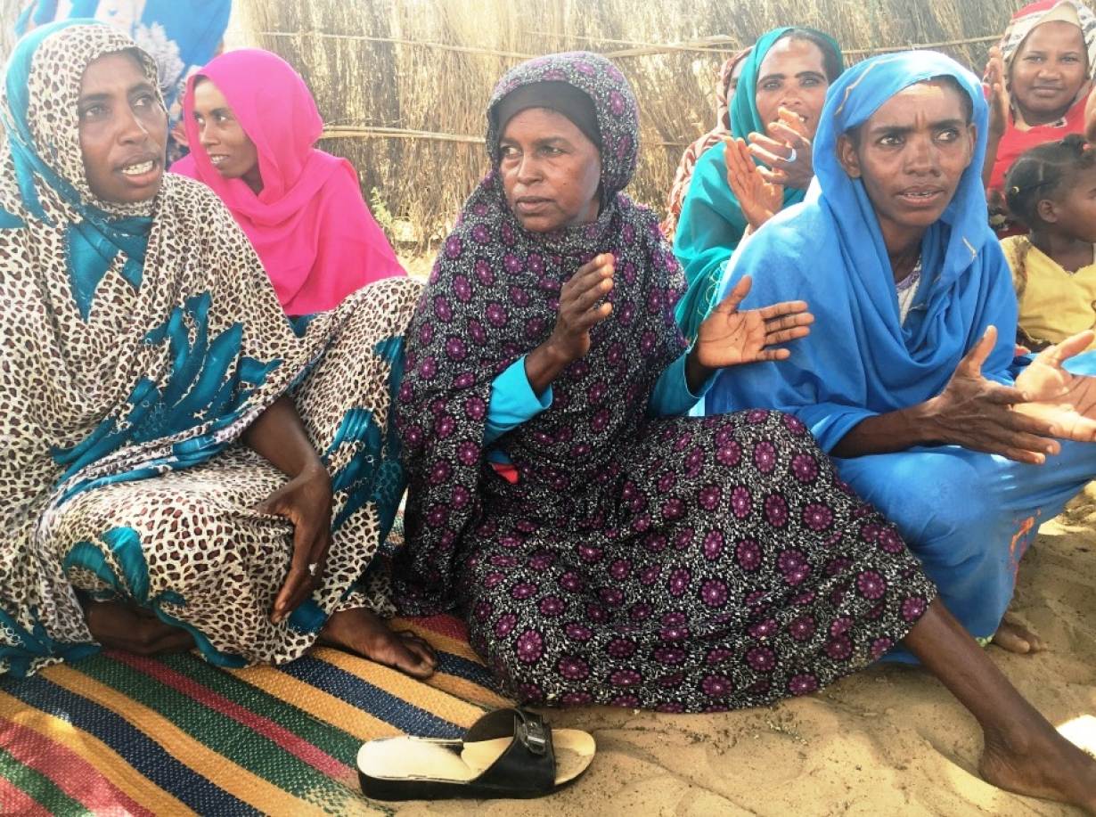 Songs and sanctions help regreen Sudan's desert villages