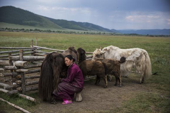 Mongolian herders turn to Soviet past to adapt to climate change