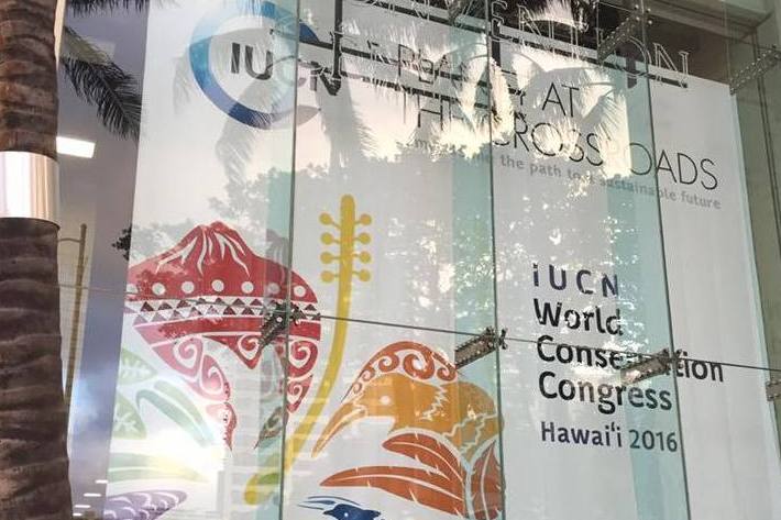 Global conservation priorities set at IUCN Congress