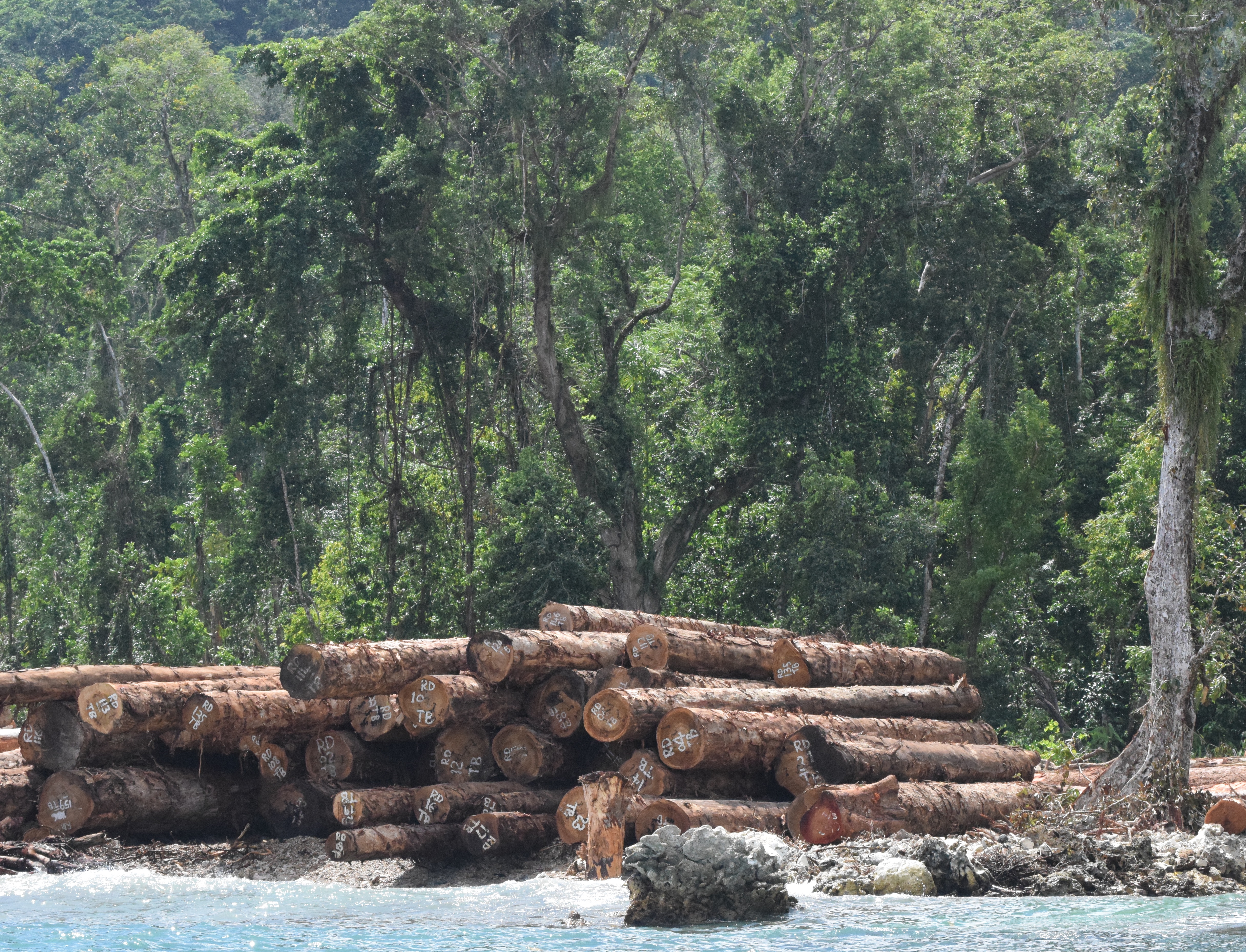 Rural women committed to conservation in Solomon Islands