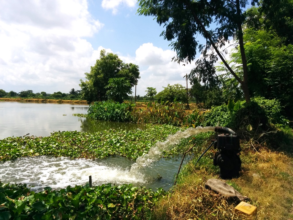Green tribunal raises red flag over Kolkata wetlands