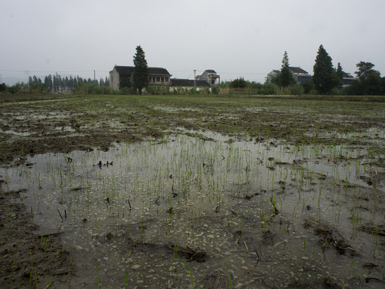 China's tainted soil initiative lacks pay plan