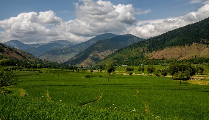Sweeping vegetation changes projected in Kashmir Himalayas due to global warming