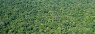 Science: Carrots as effective as sticks for slowing Amazon deforestation