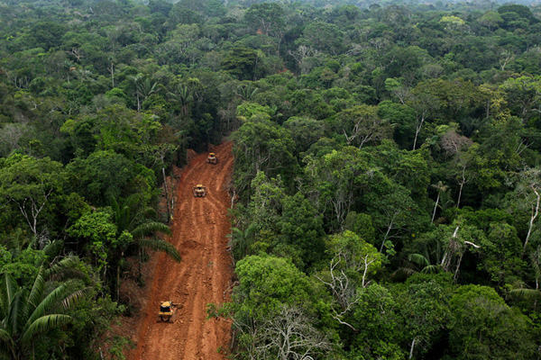 Oil company breaks agreement, builds big roads in Yasuni rainforest
