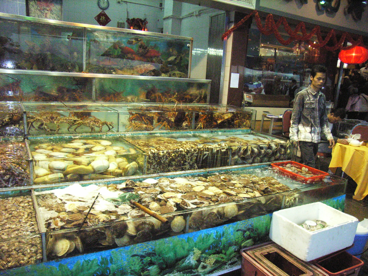 Chinese Need to Eat Fish. But How to Eat Fish Sustainably?