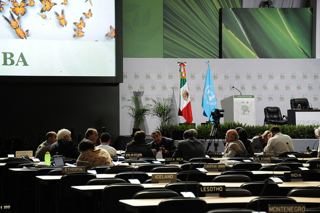 Mexican government hopes to rein in ministers at climate talks
