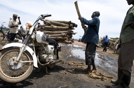 Uganda’s search for eco-friendly fuel