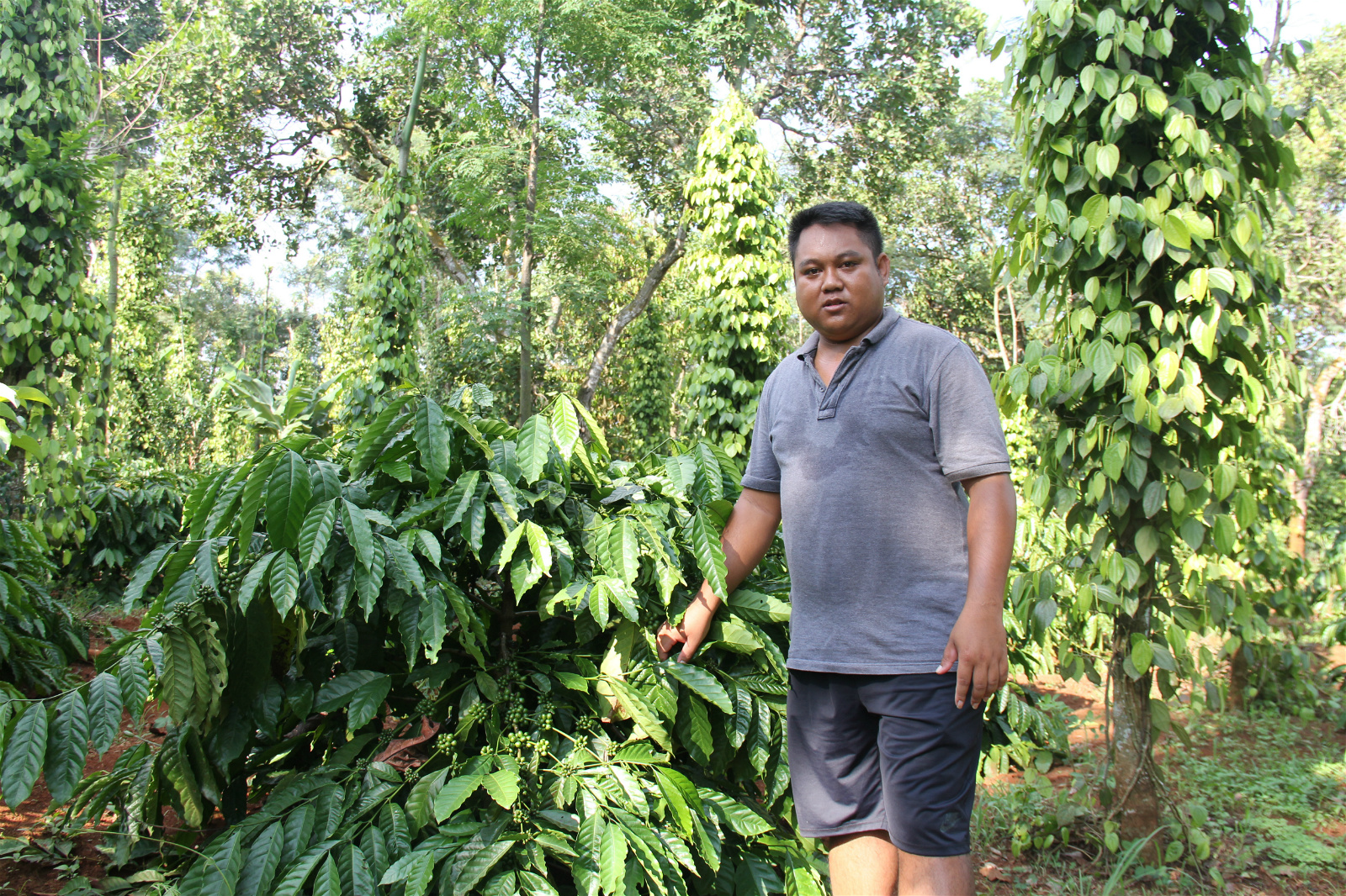 Farmer Y Bel Eban in his coffee farm