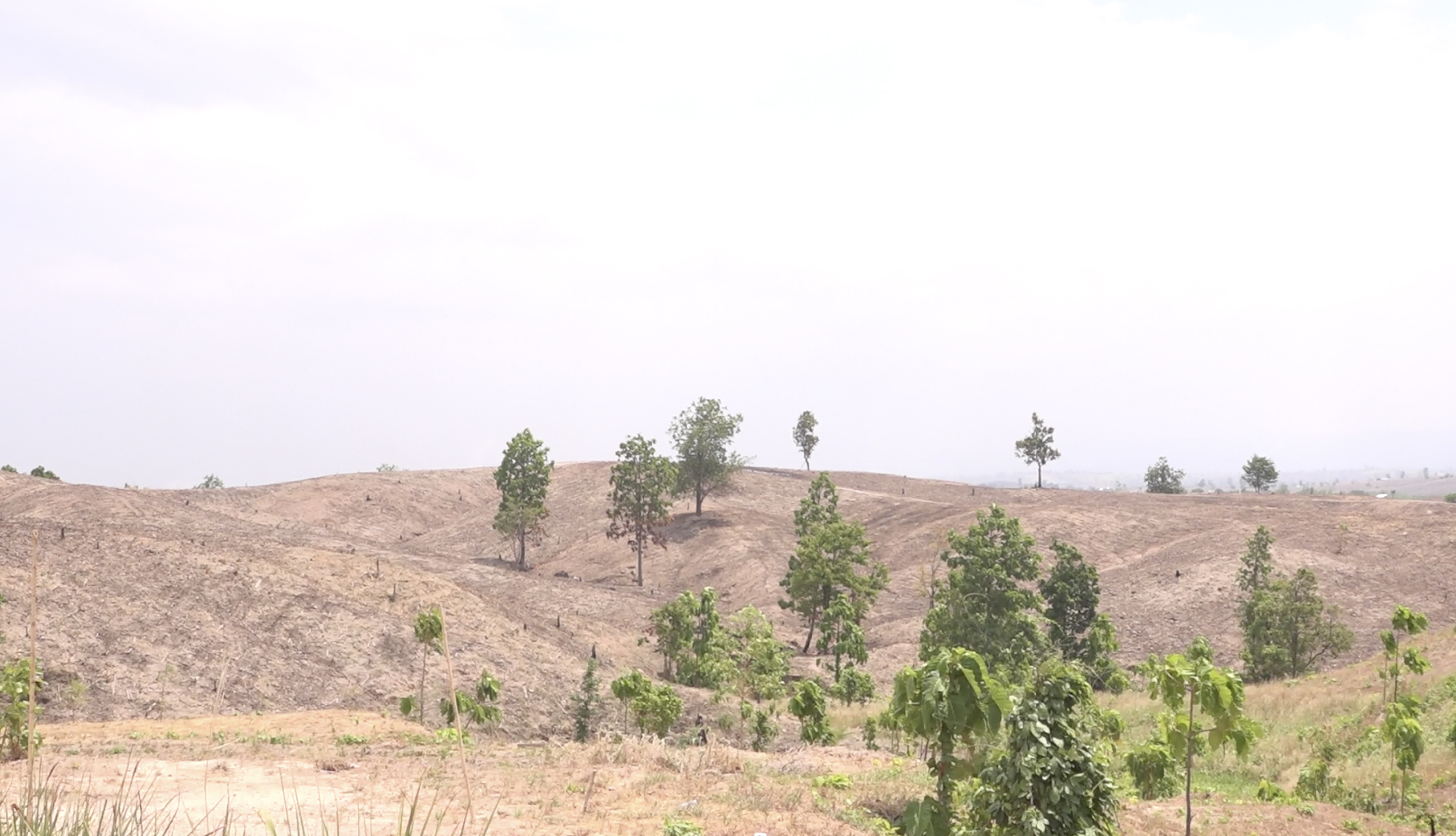 Depleted hill in Dawna Range