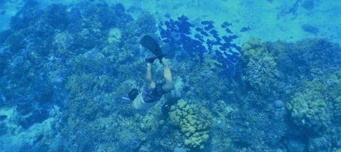 Diver in Cozumel
