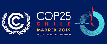 Logo of the COP25