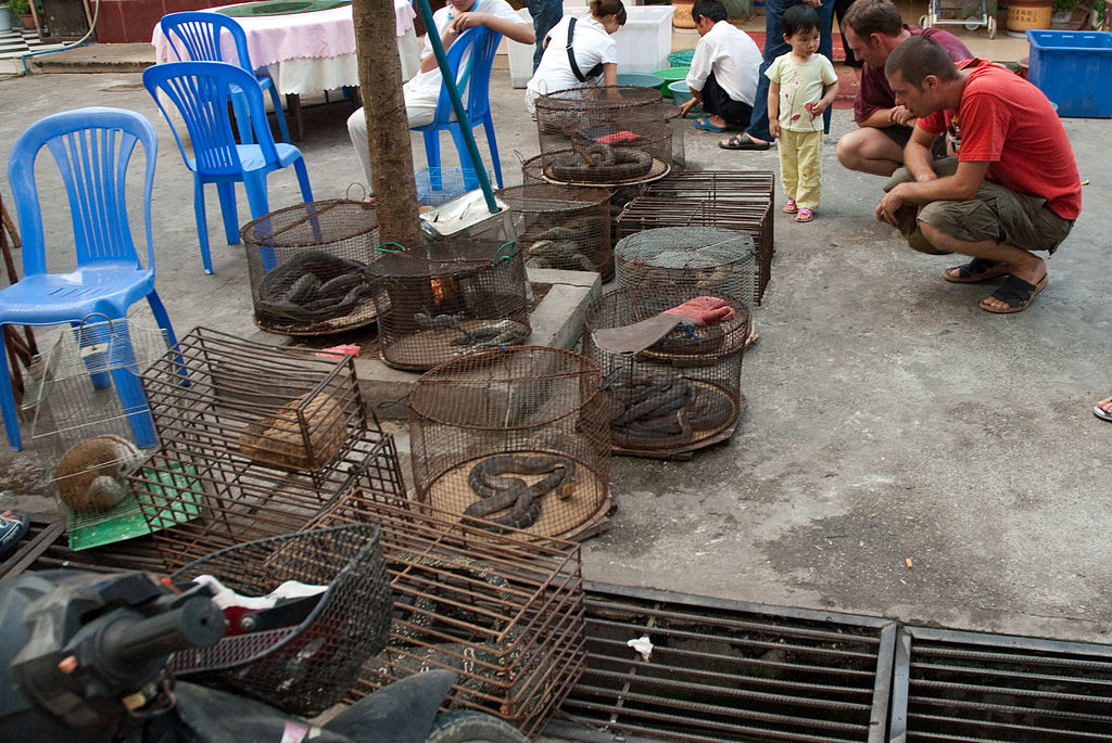 Wildlife market in Myanmar