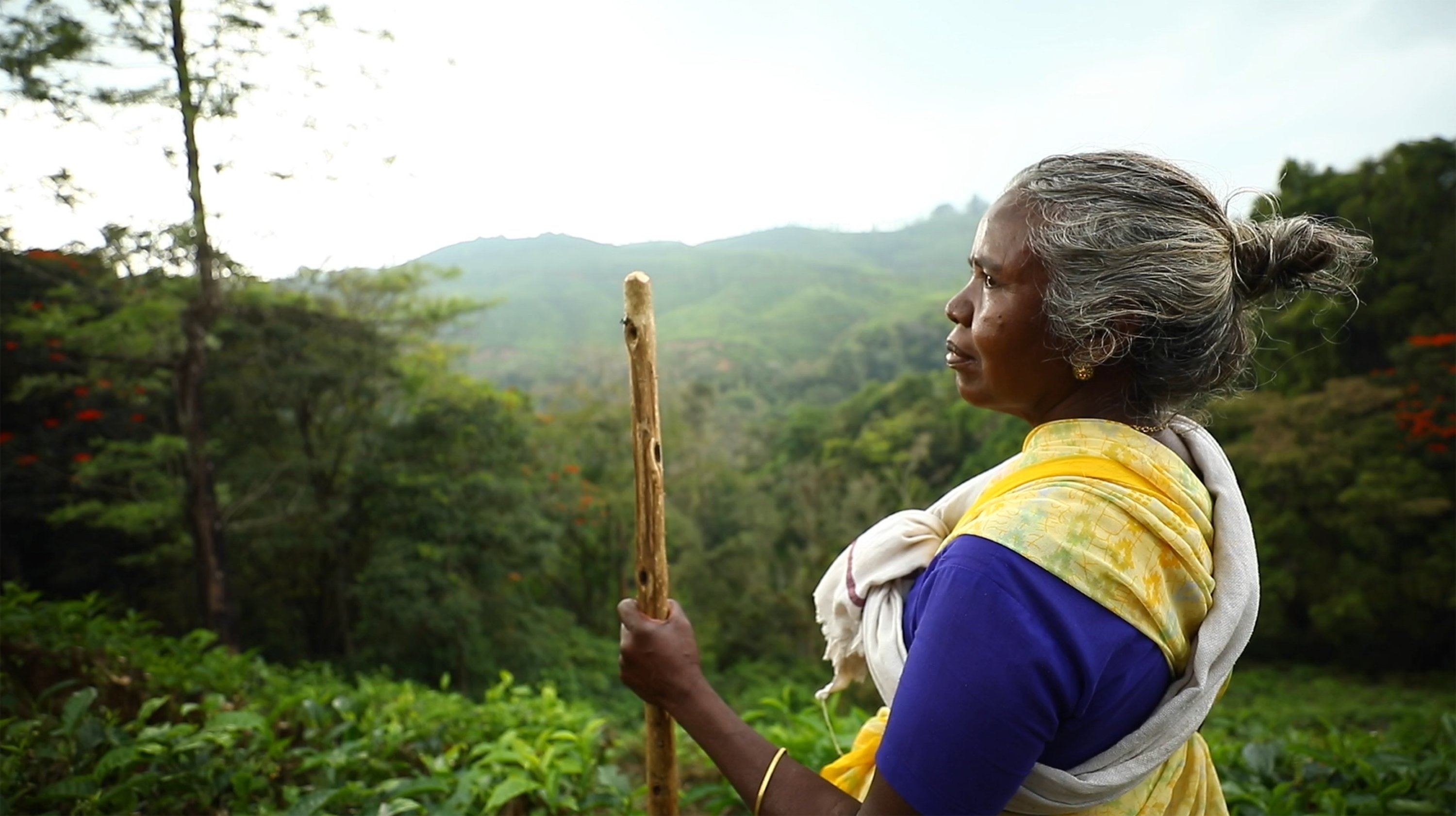 A woman overlooking Valparai forest