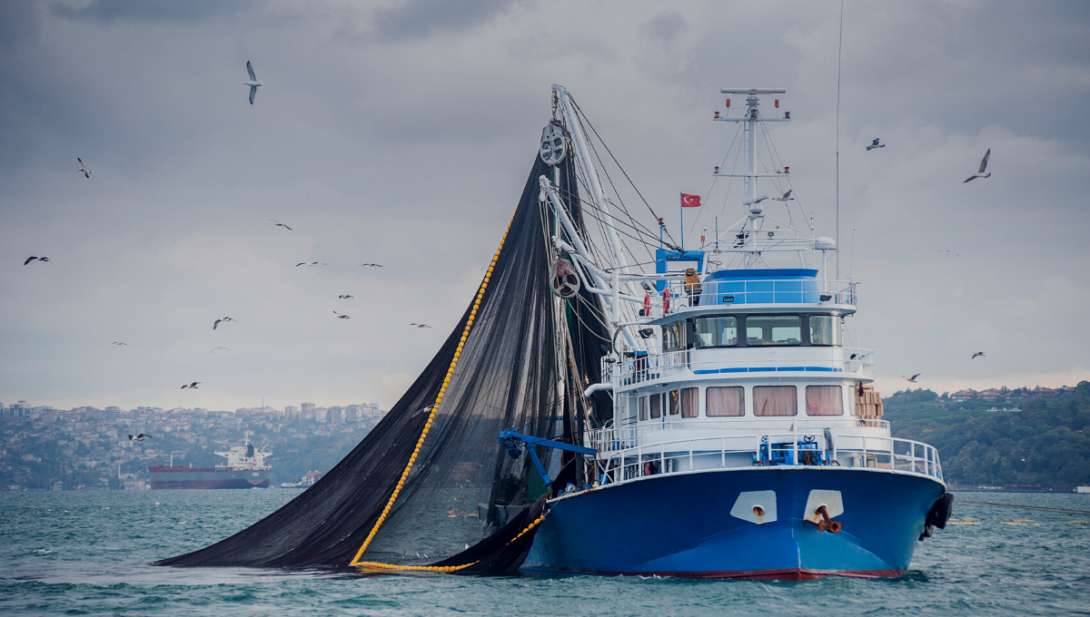 a photo of a fishing vessel pulling a large net out of the water