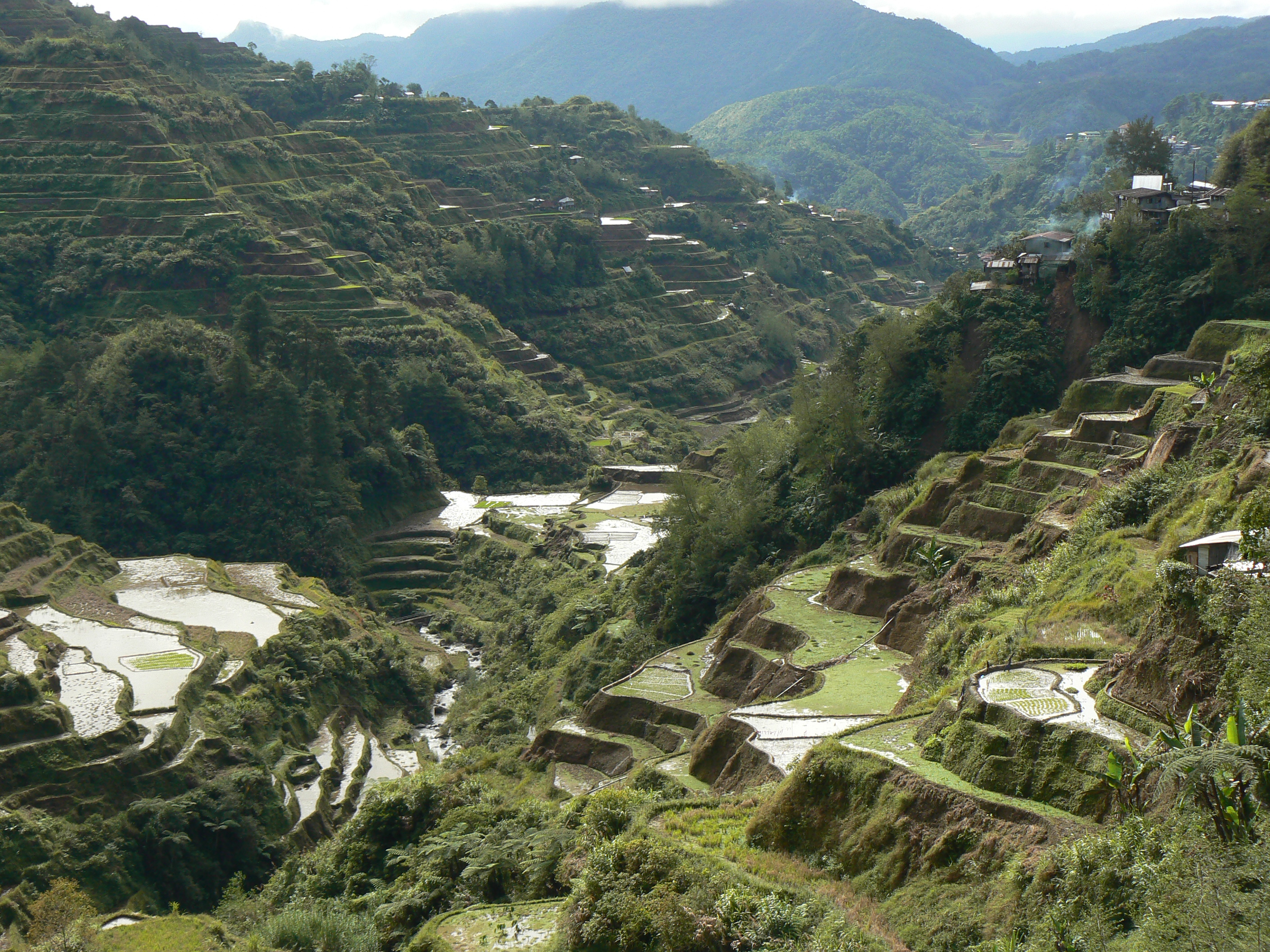 the terraced landscape, recognized as a heritage site.