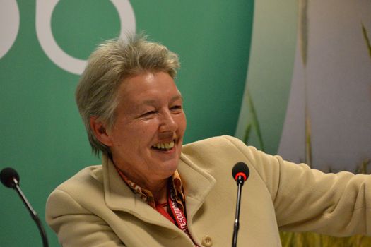 Gotelind Alber, founder of Gender CC / Global Gender and Climate Alliance