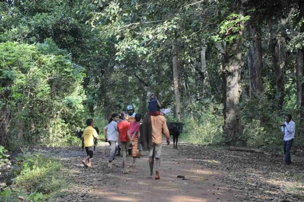a group of people walking in the forest