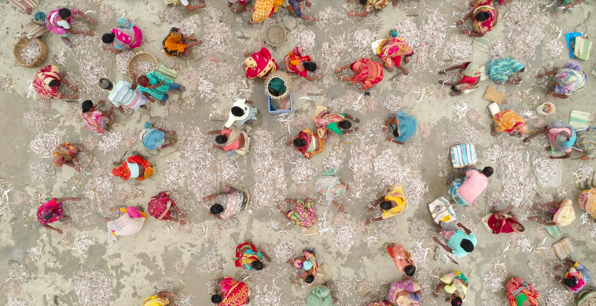 aerial photo of fish market in West Bengal