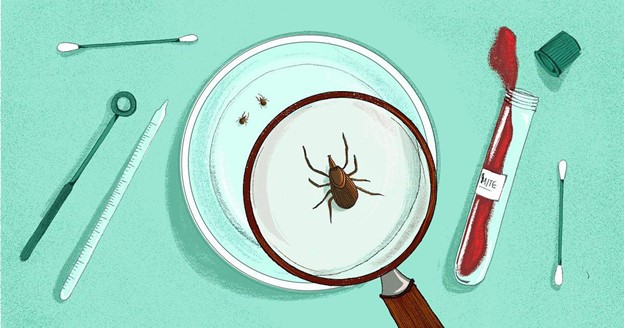 illustration of tick under magnifying glass