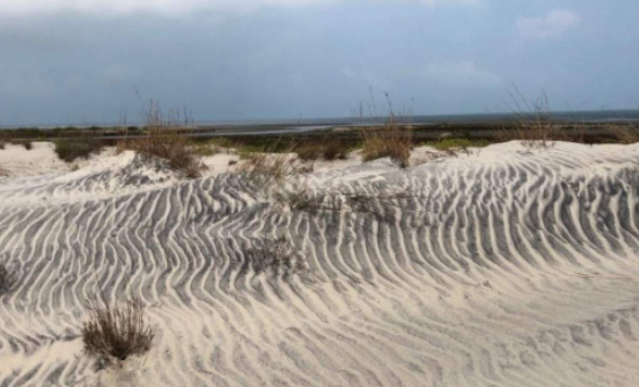 sandy beach dunes