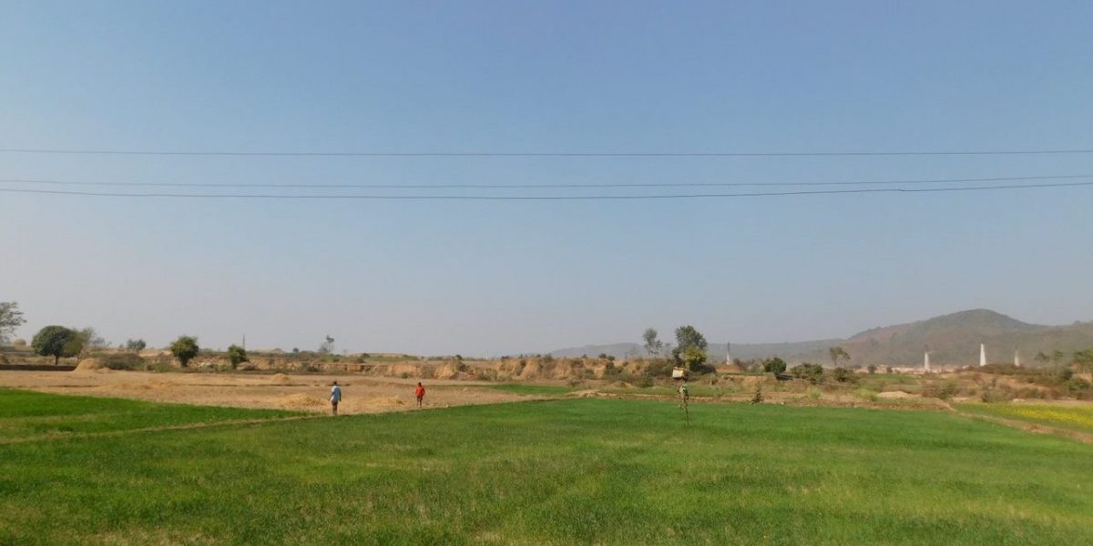 Agricultural land in Gondalpura. Photo: Sushmita