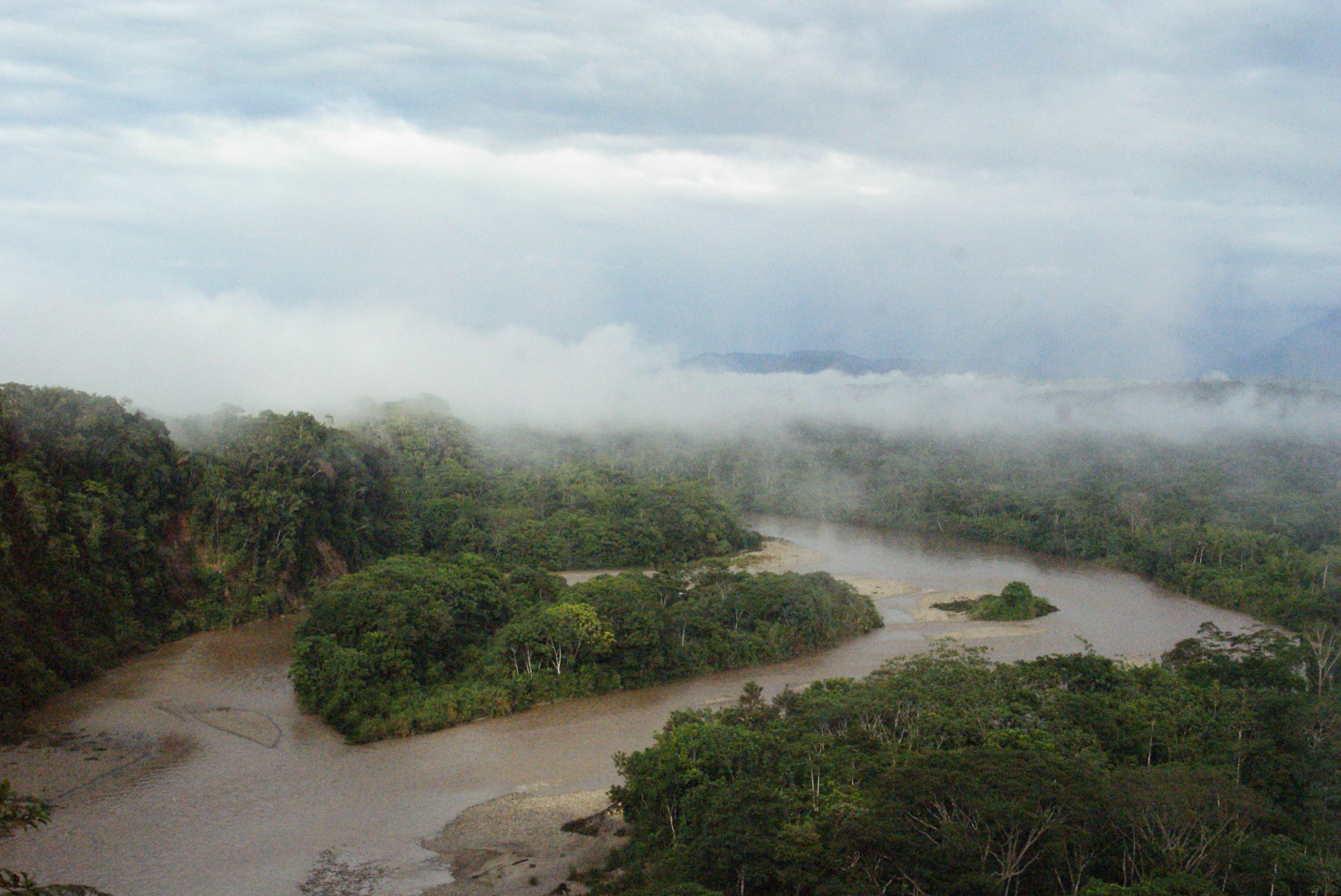 a misty view of the rainforest and river