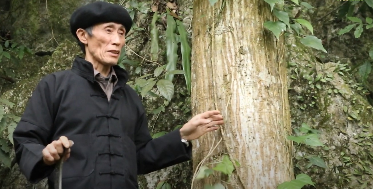A village elder explains the cultural importance of his local forest in Vietnam