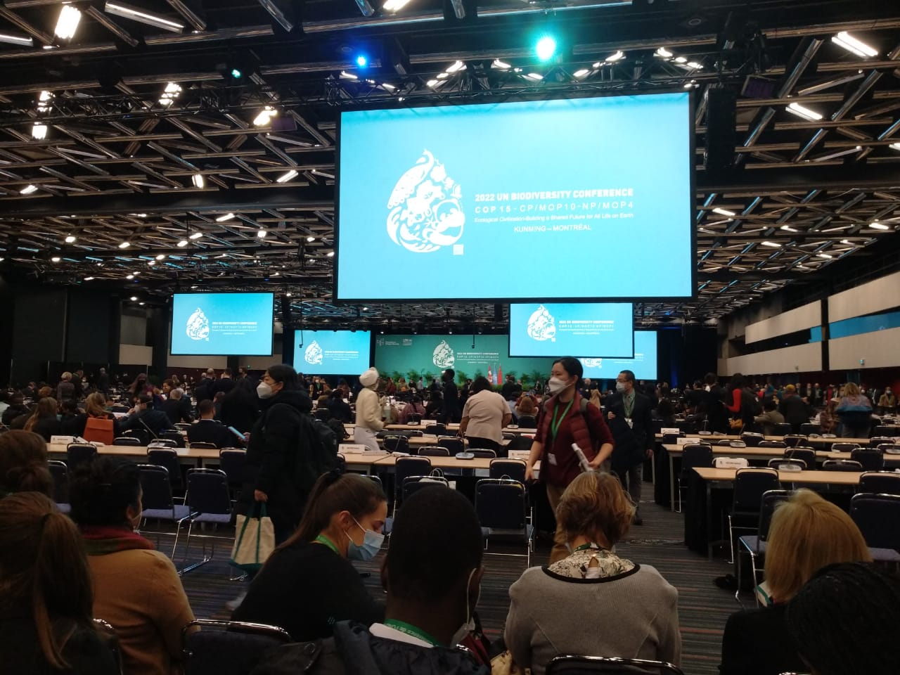multiple screens at cop15 opening ceremony