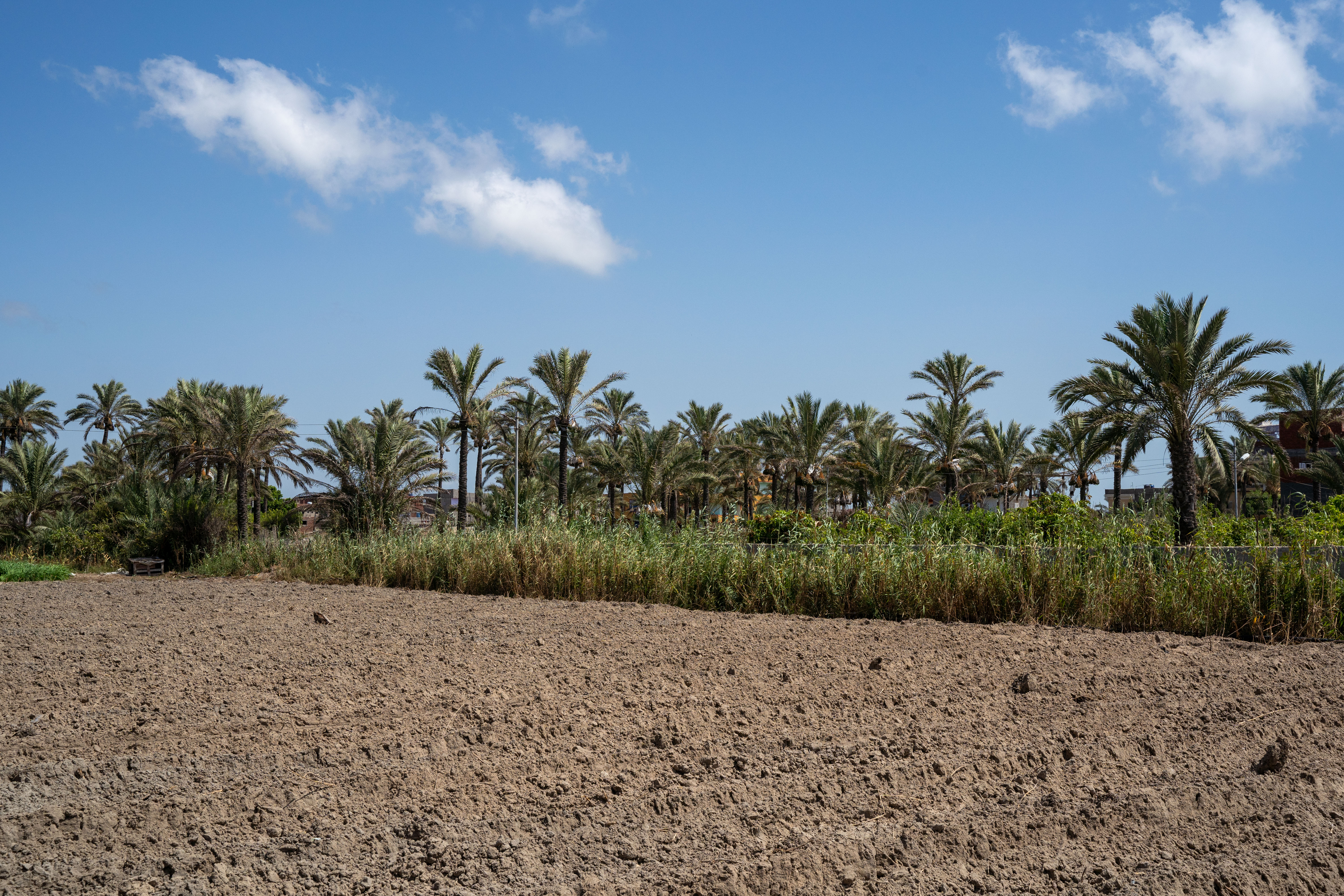 Climate change threatens the Nile's critical water supply