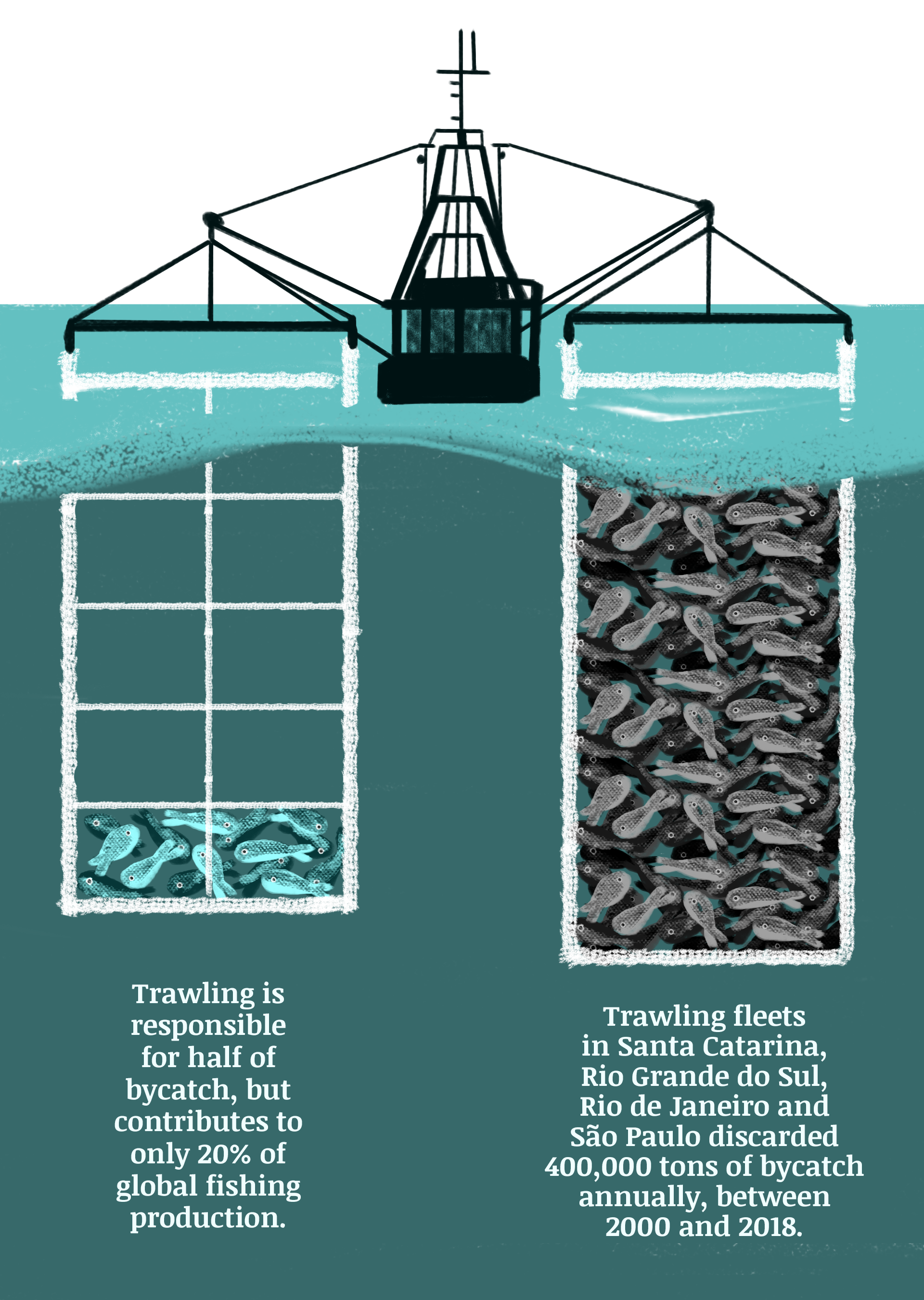 Illustration showing the bycatch caused by trawling. 
