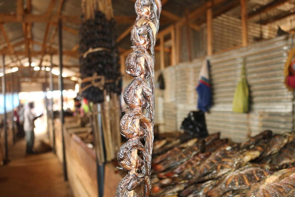 Mudfish in central market